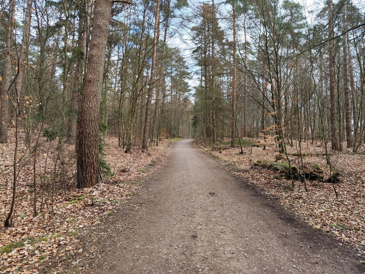 Bilder des Monats