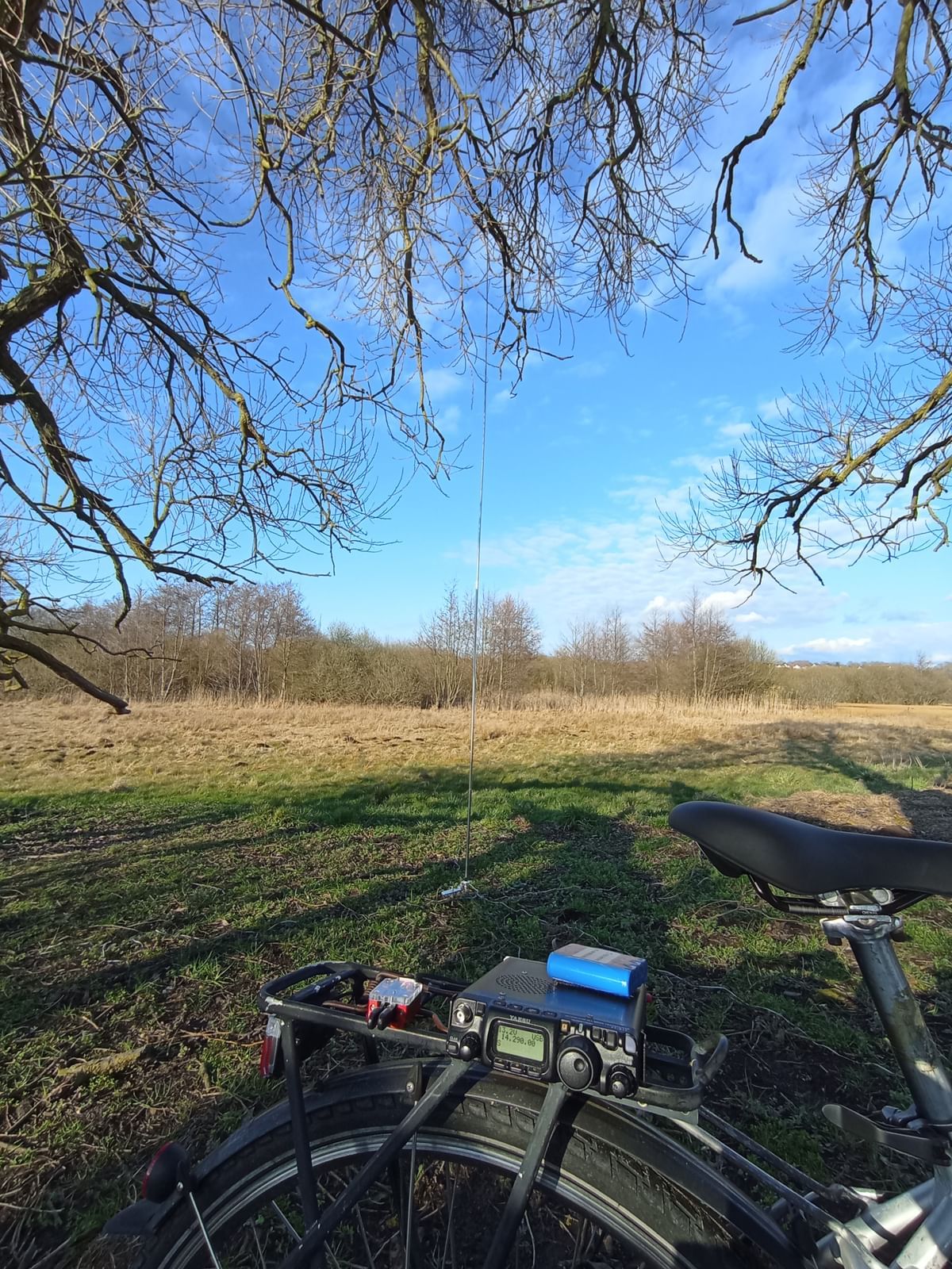 Bilder des Monats