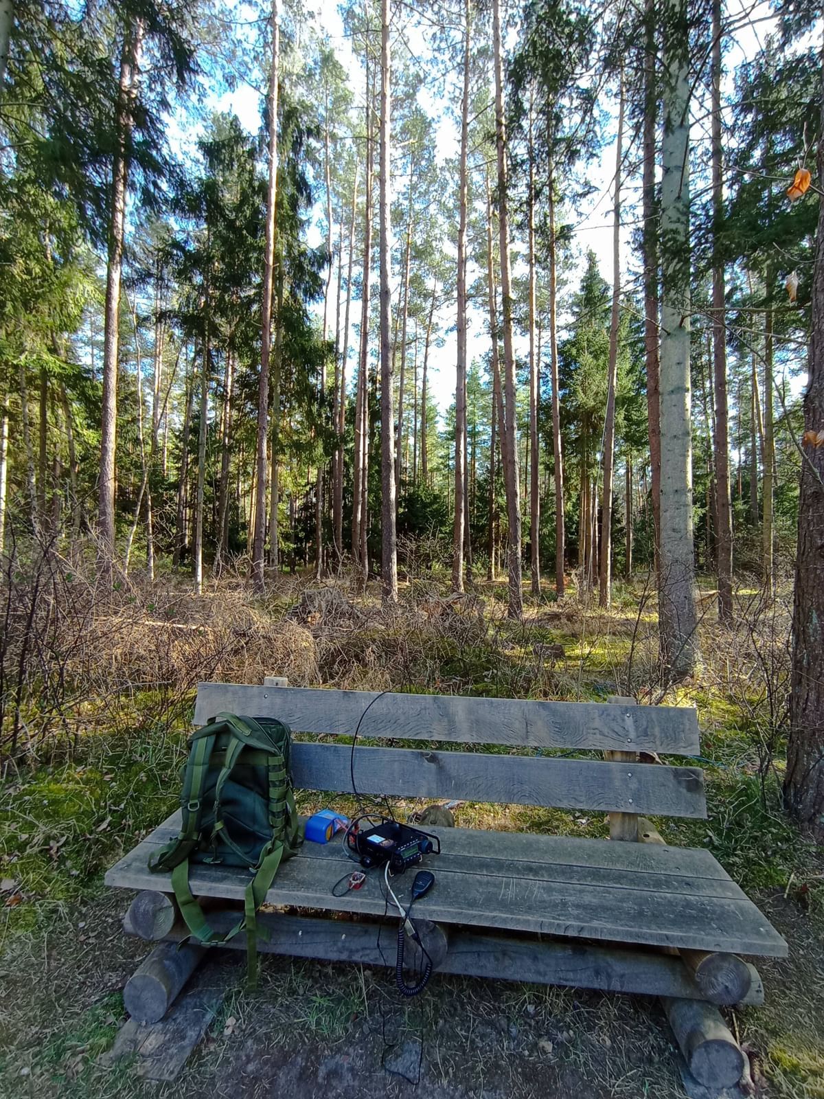 Bilder des Monats