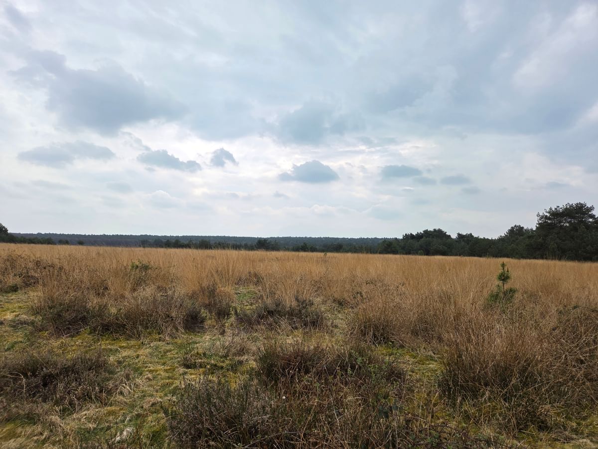 Bilder des Monats