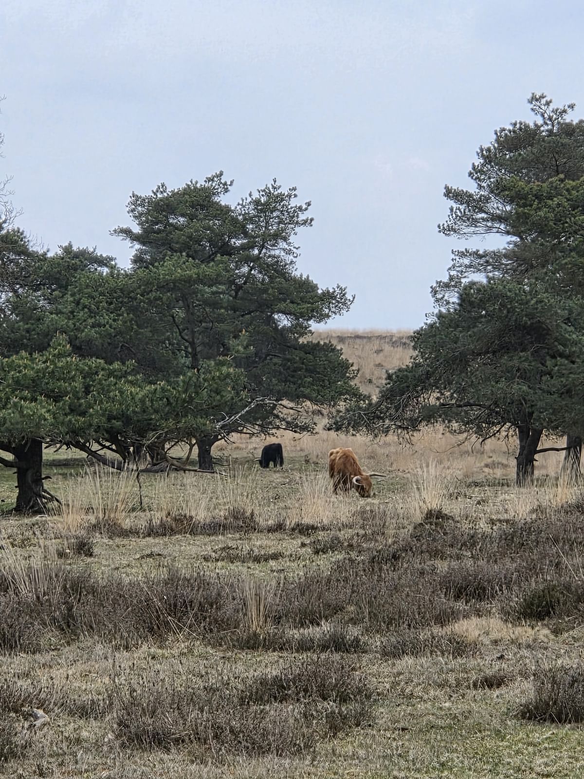 Bilder des Monats