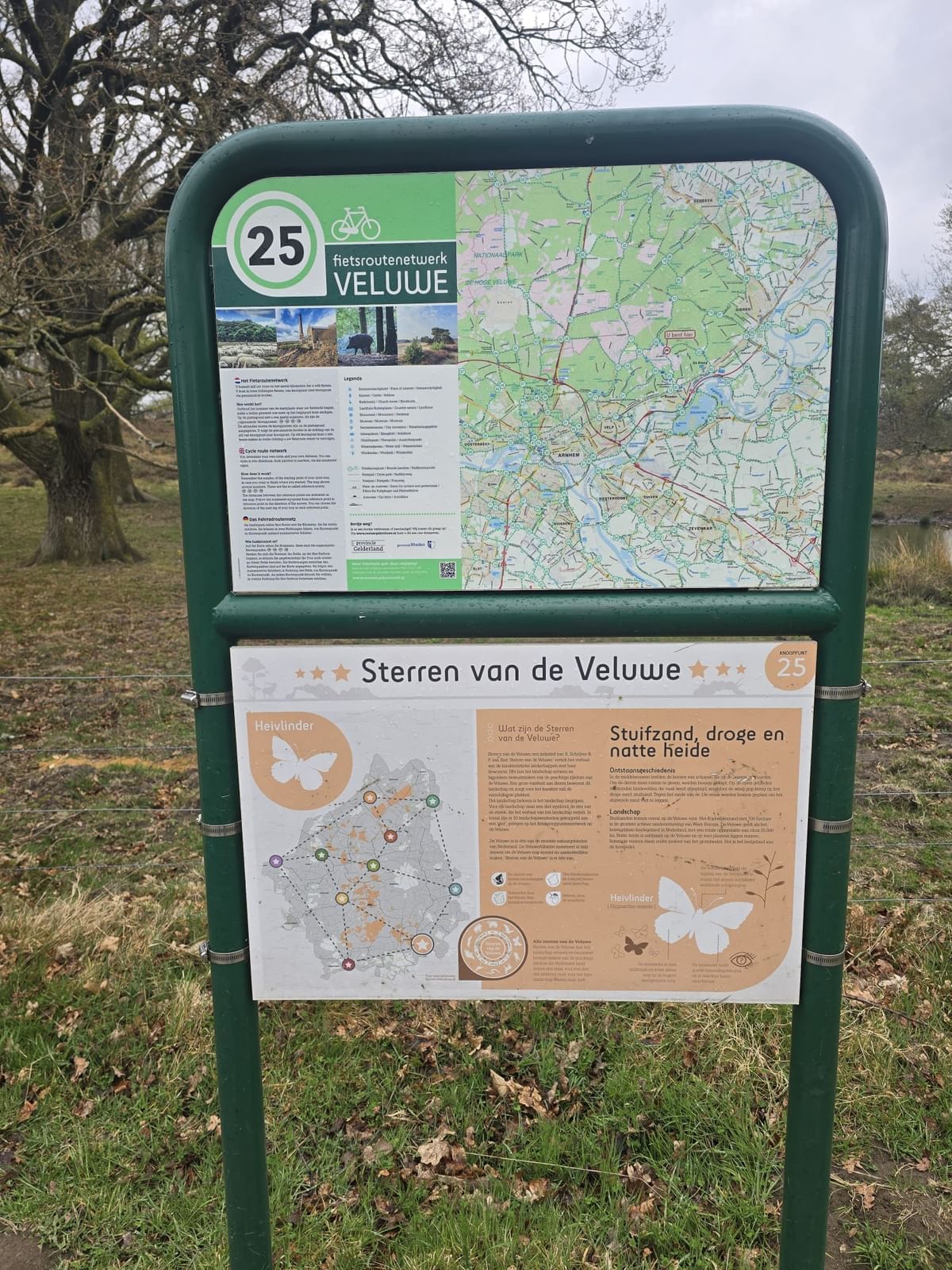 Bilder des Monats
