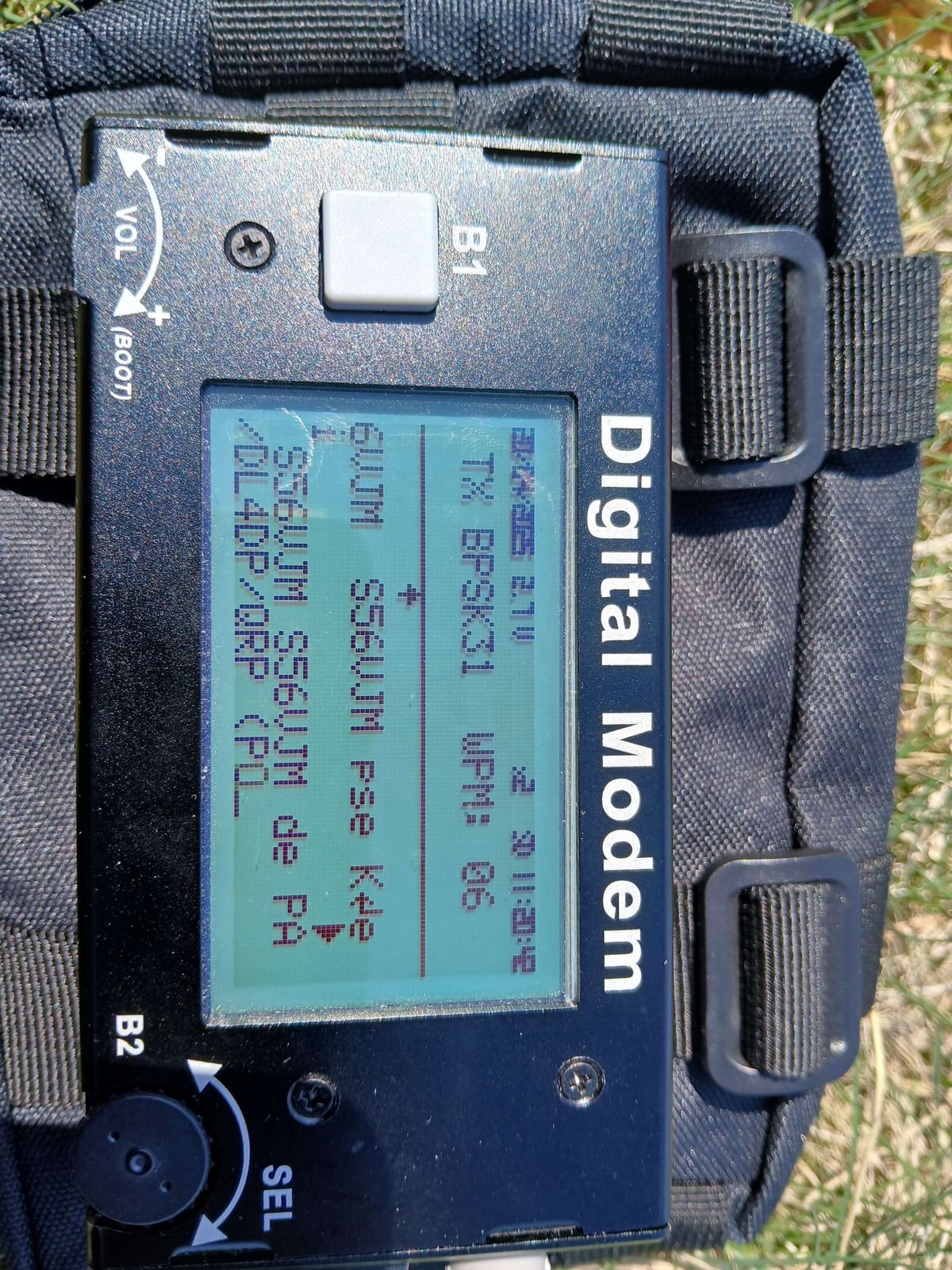 Bilder des Monats