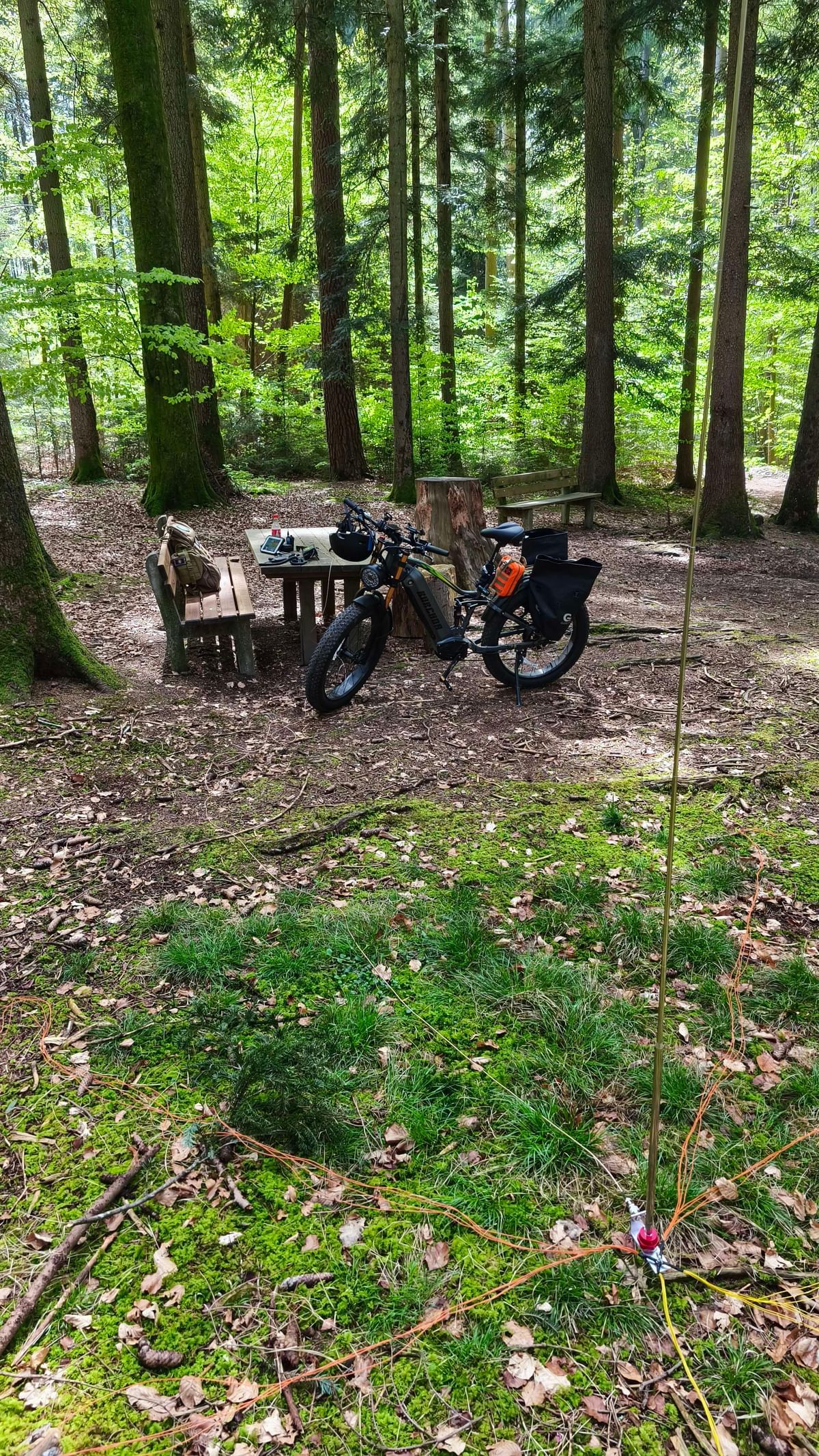 Bilder des Monats