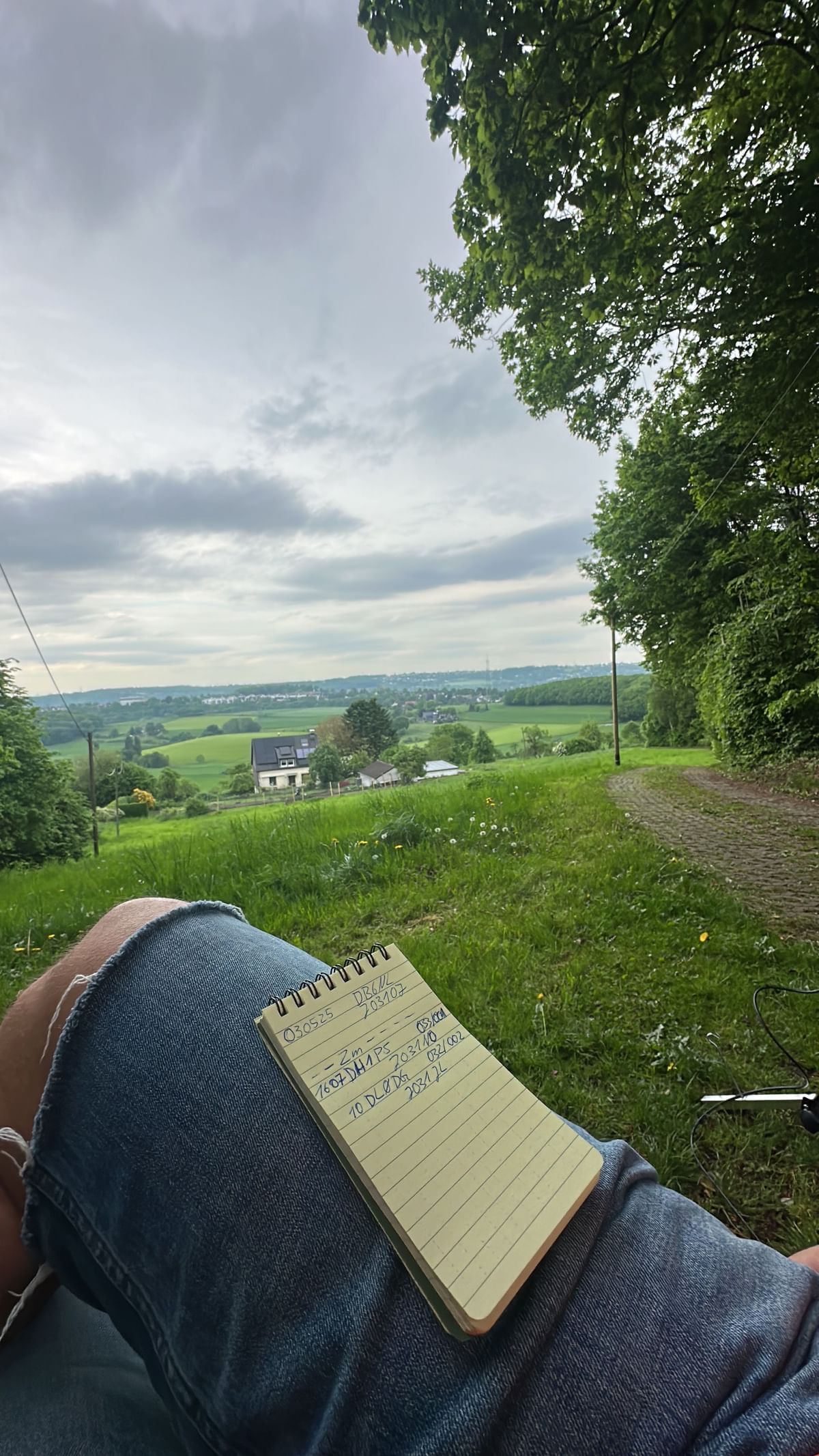 Bilder des Monats