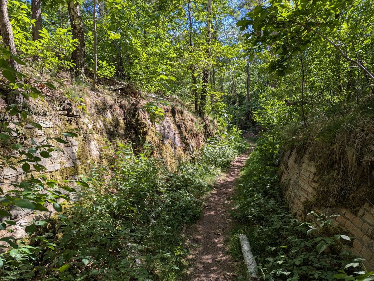 Bilder des Monats