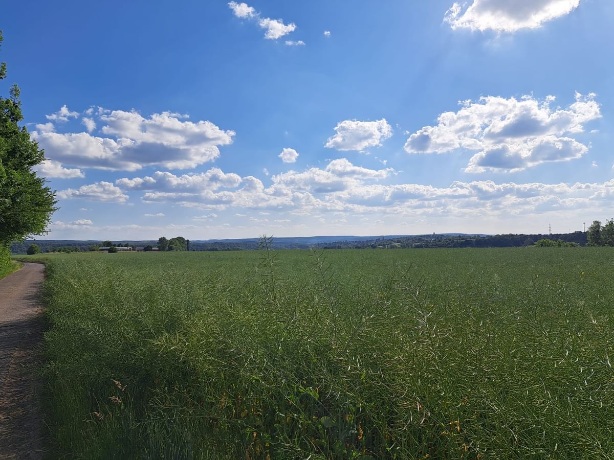 Bilder des Monats