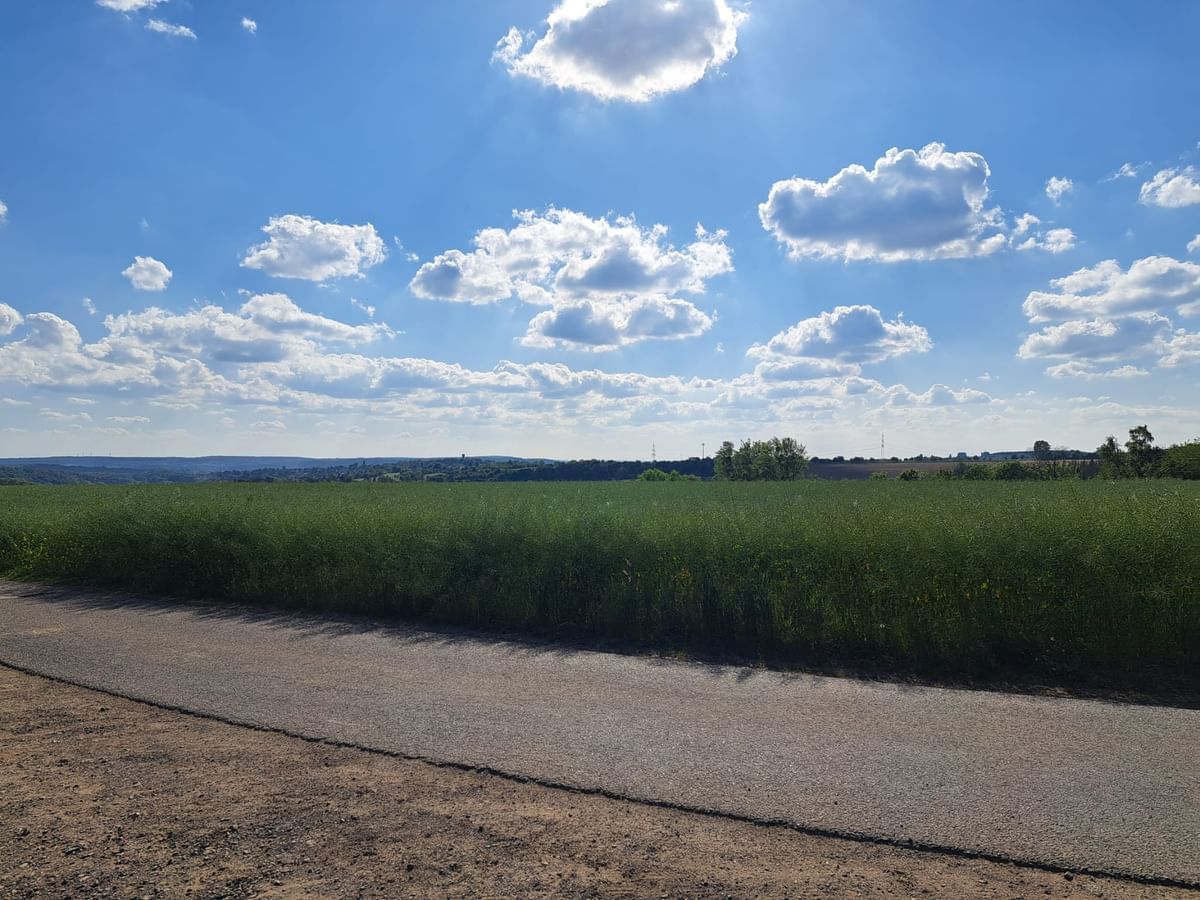 Bilder des Monats