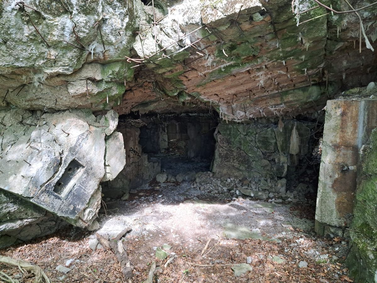 Bilder des Monats