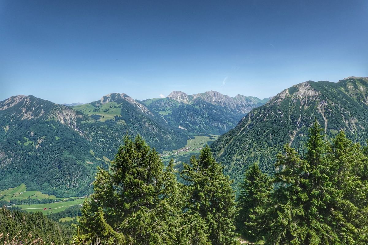 Bilder des Monats