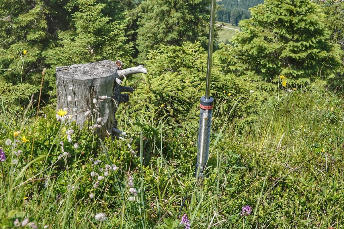 Bilder des Monats