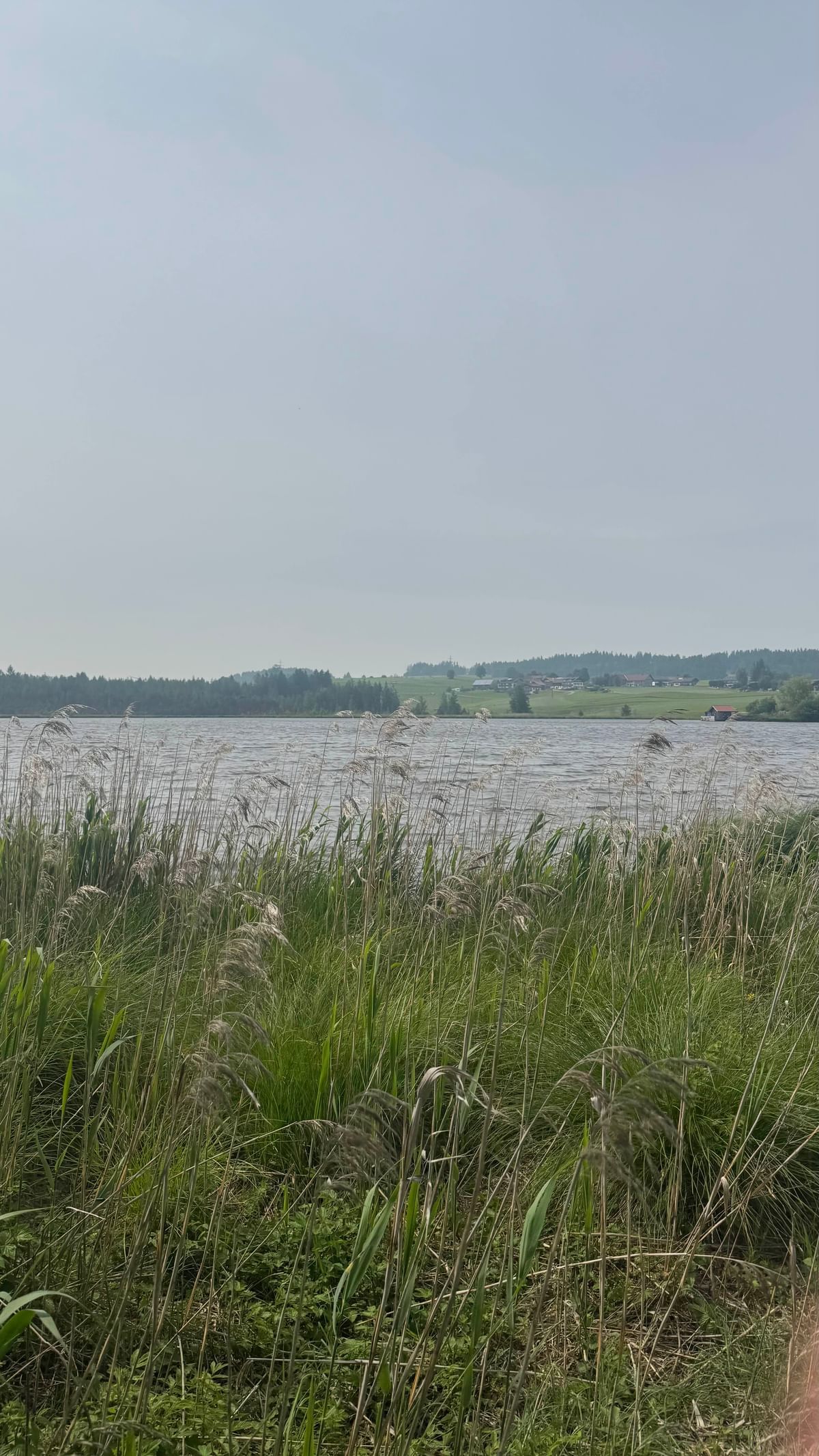 Bilder des Monats