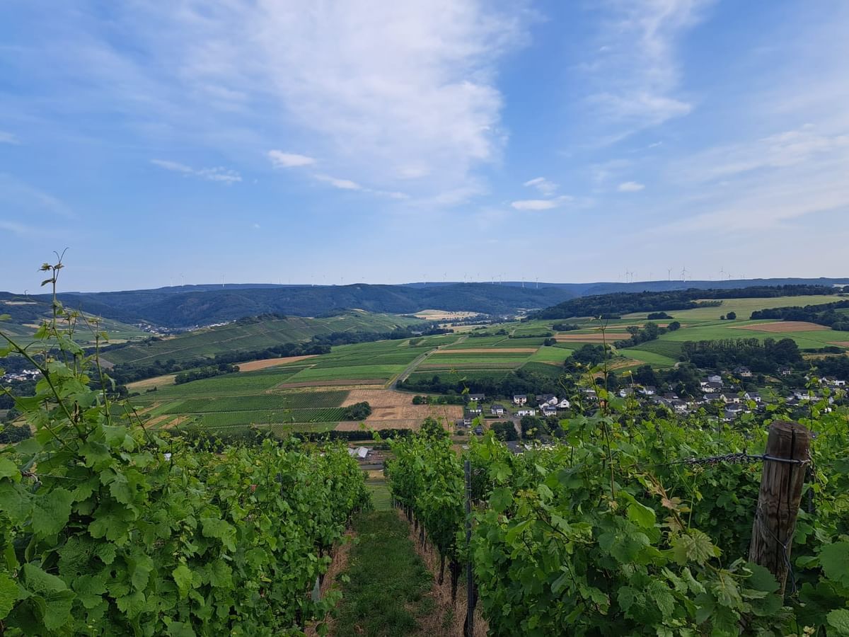Bilder des Monats