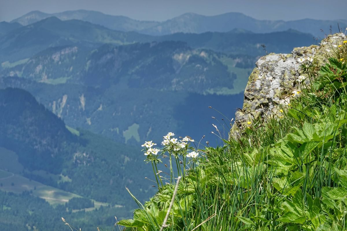 Bilder des Monats