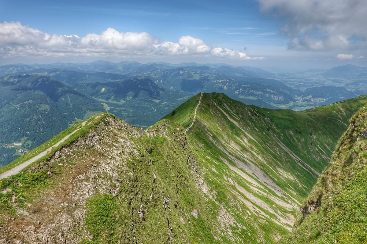 Bilder des Monats