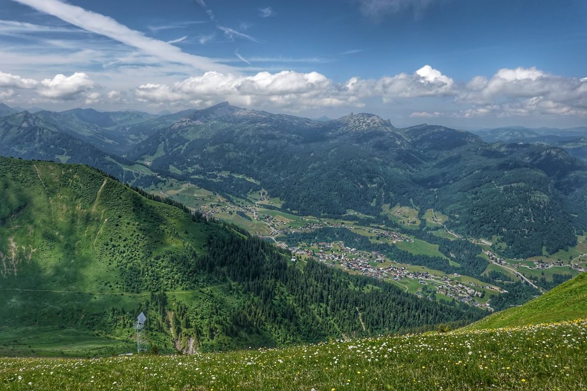 Bilder des Monats