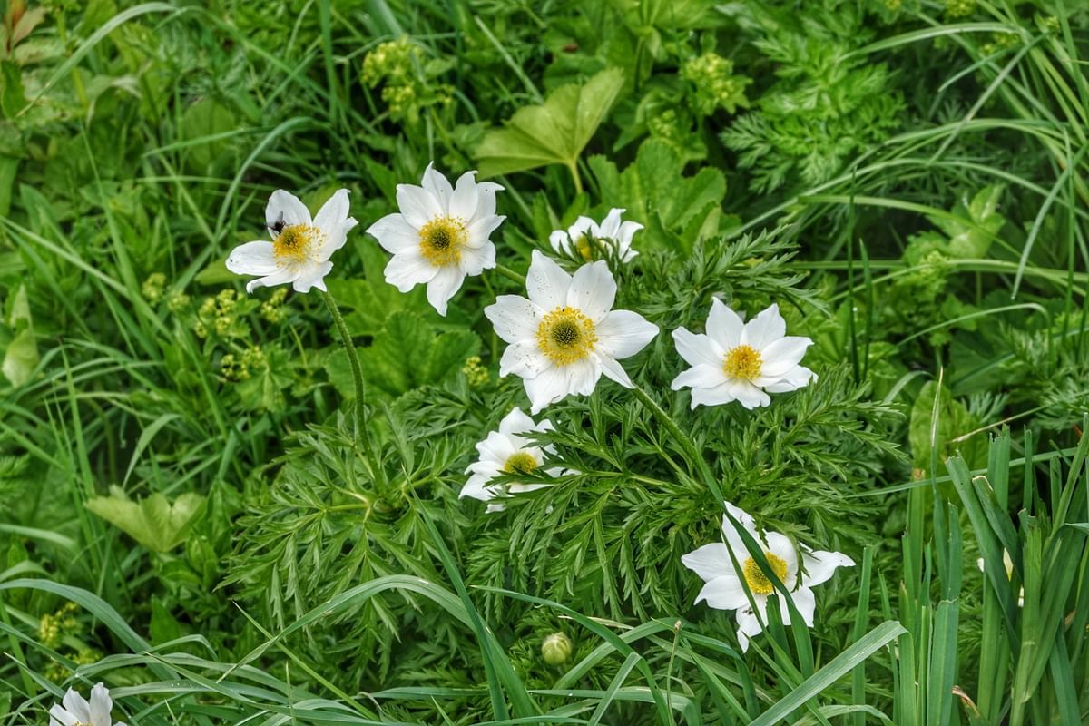 Bilder des Monats