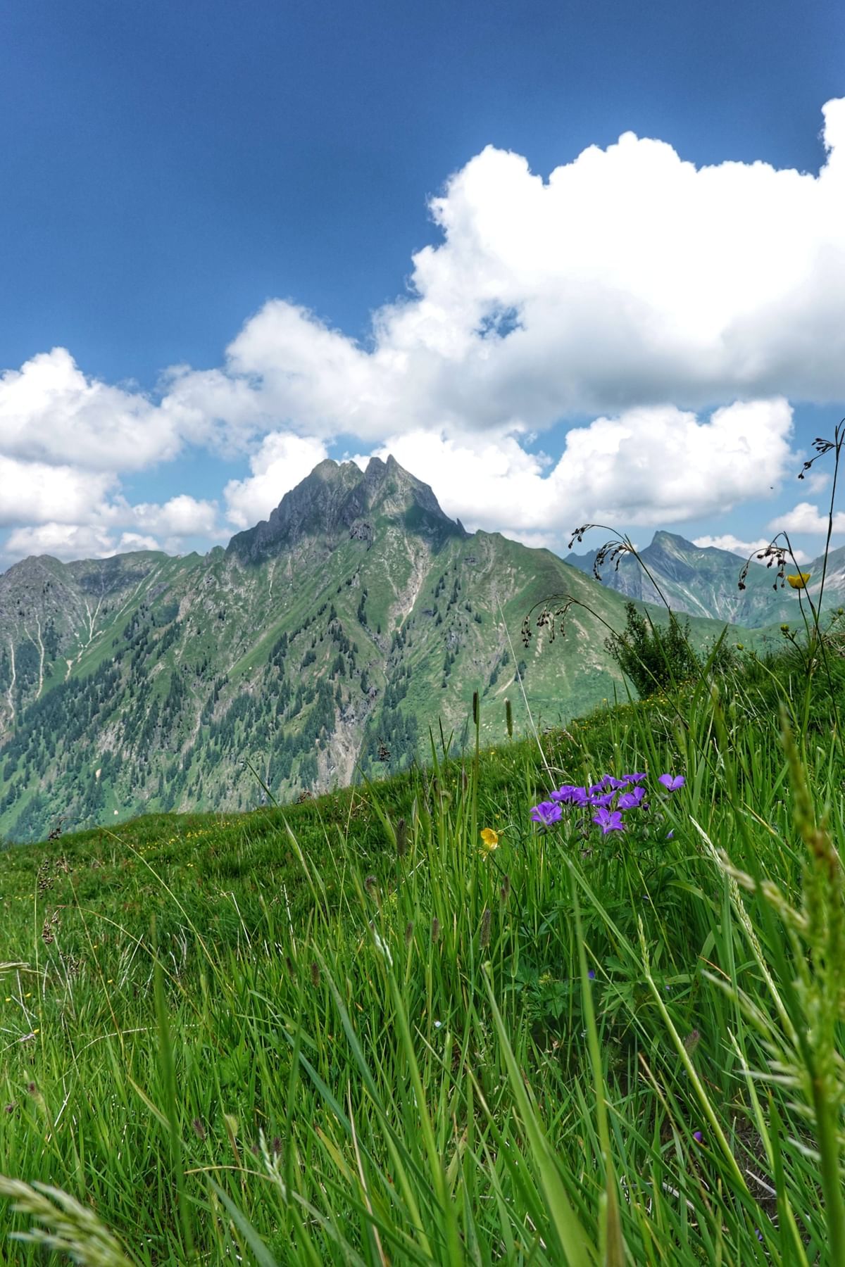 Bilder des Monats