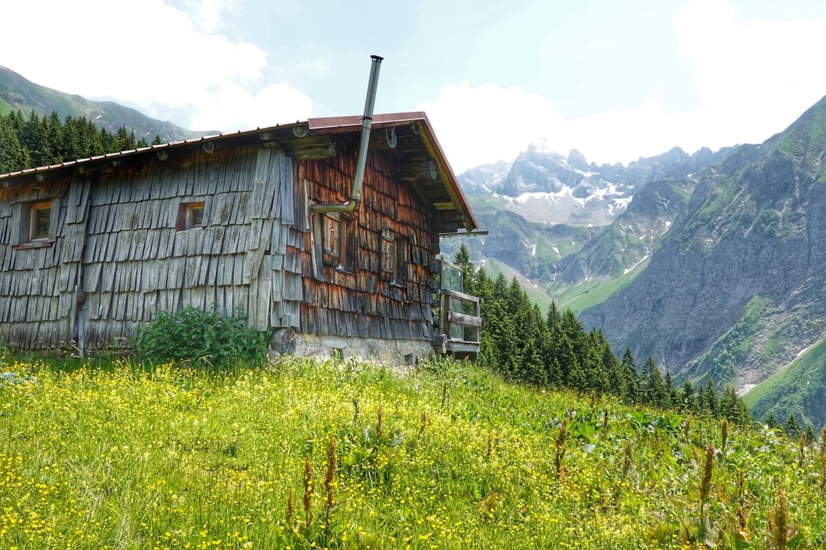 Bilder des Monats