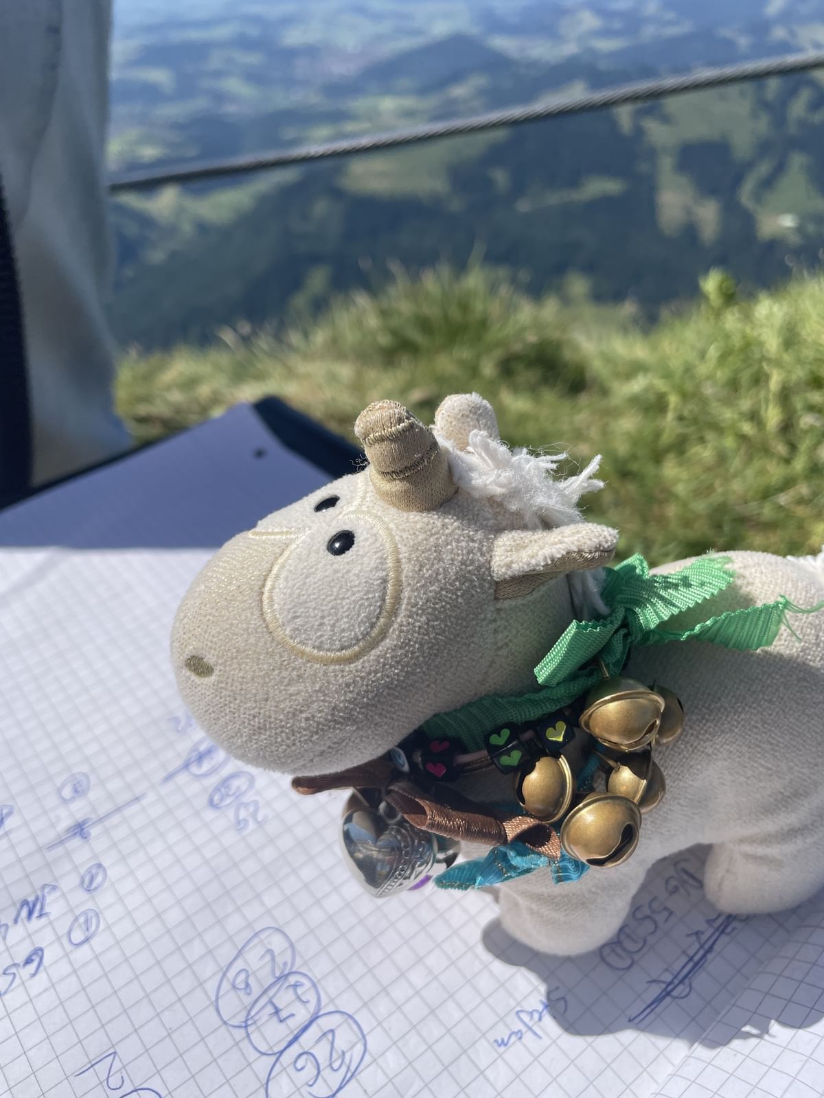 Bilder des Monats