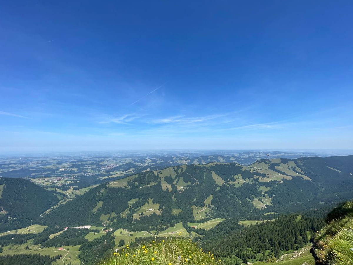 Bilder des Monats