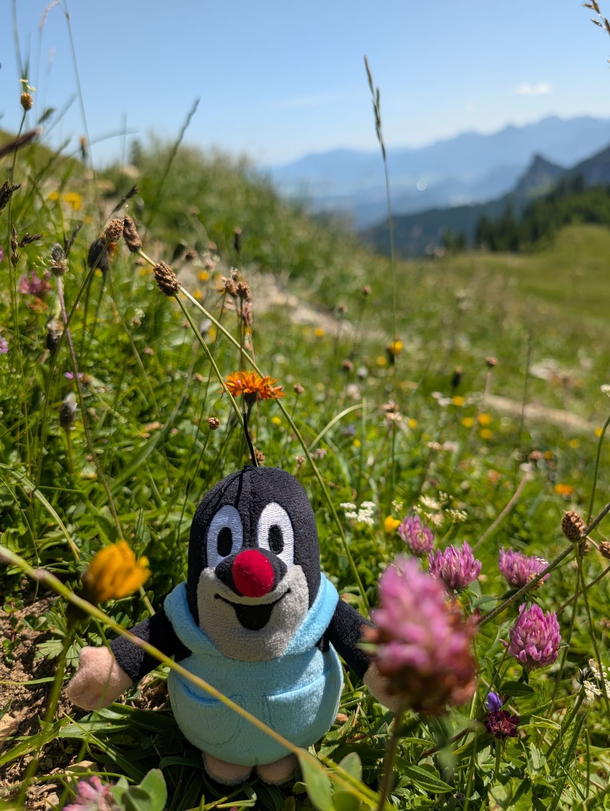 Bilder des Monats