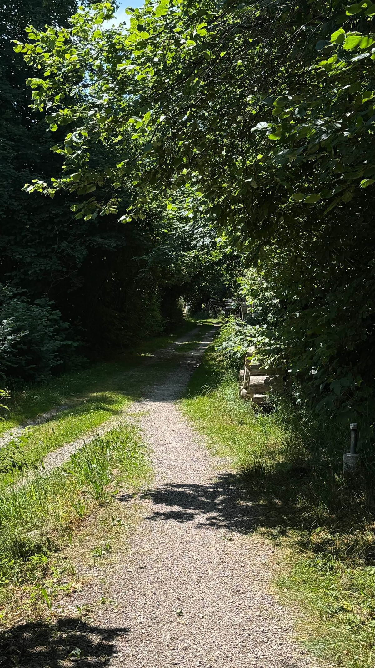 Bilder des Monats