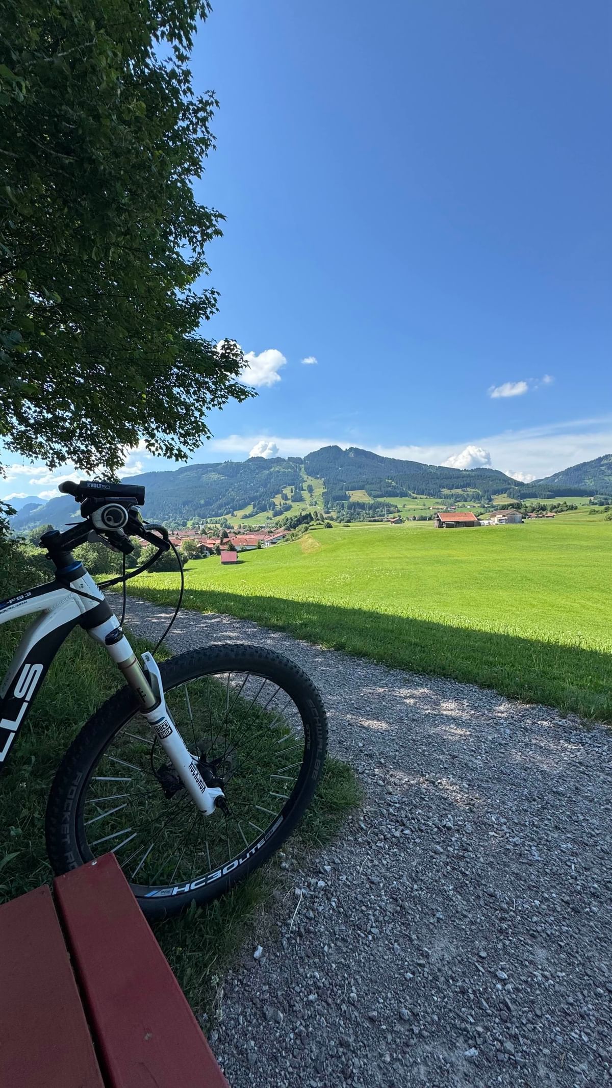 Bilder des Monats