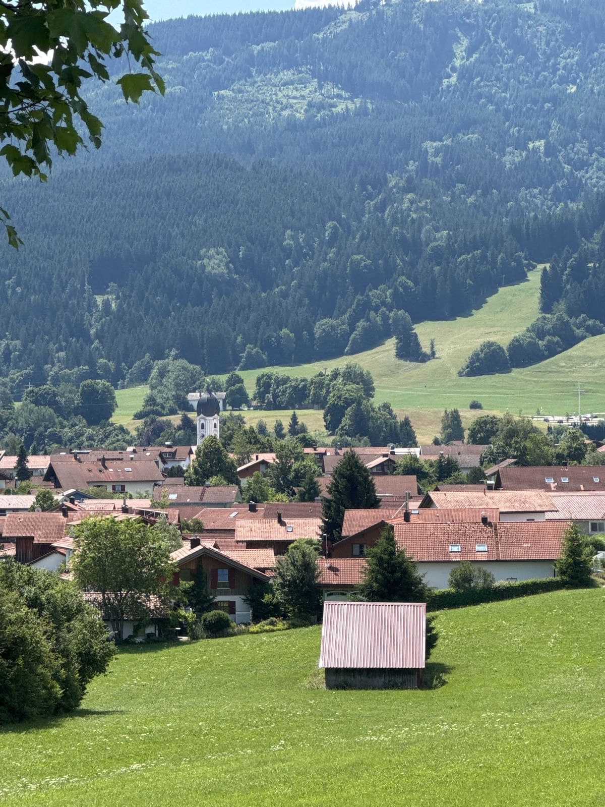 Bilder des Monats