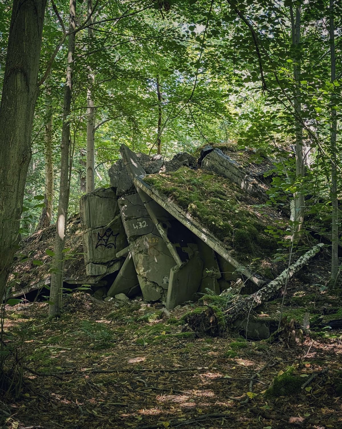 Bilder des Monats