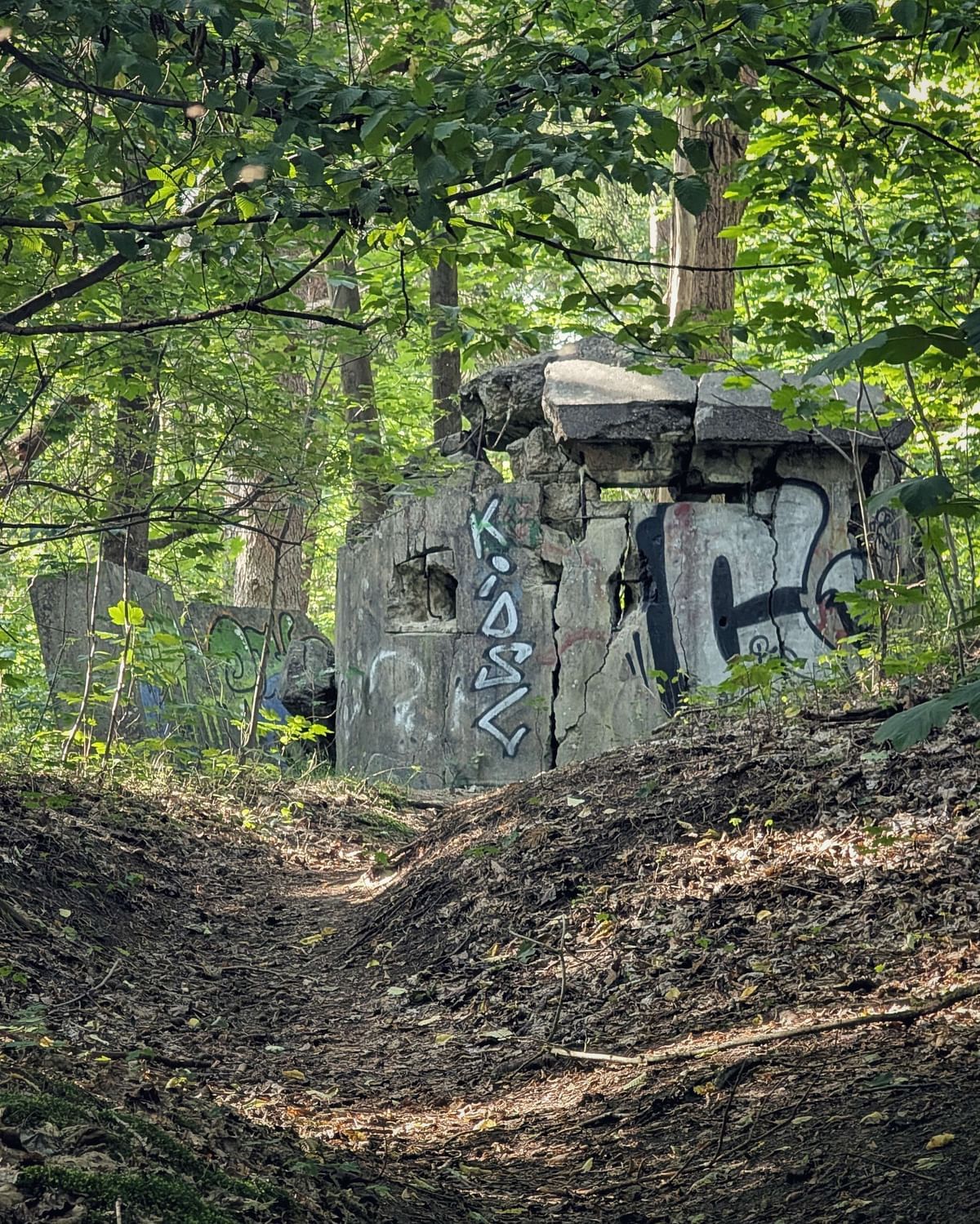 Bilder des Monats