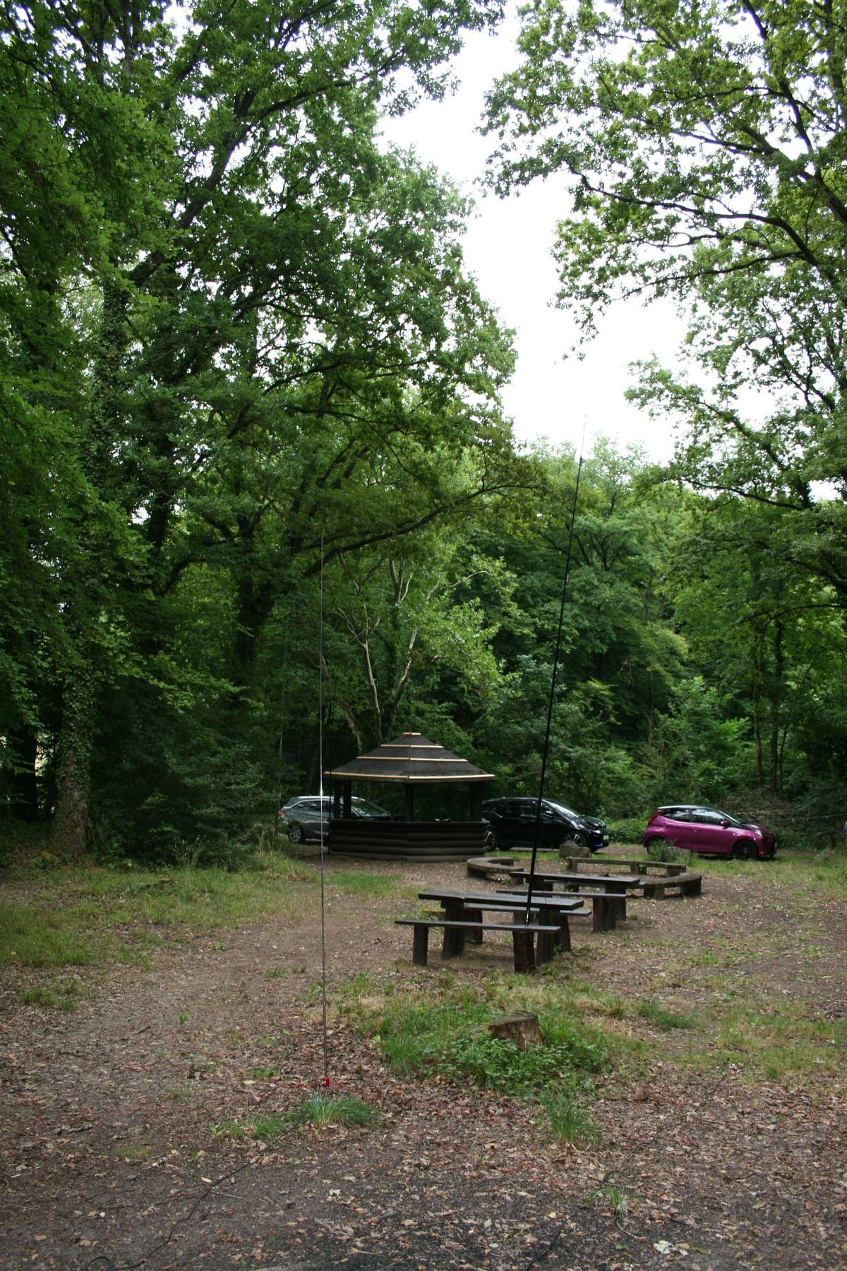 Bilder des Monats