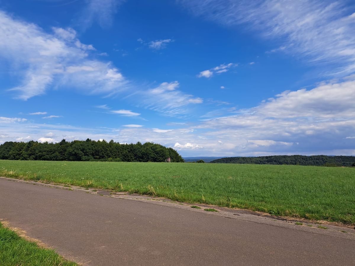 Bilder des Monats