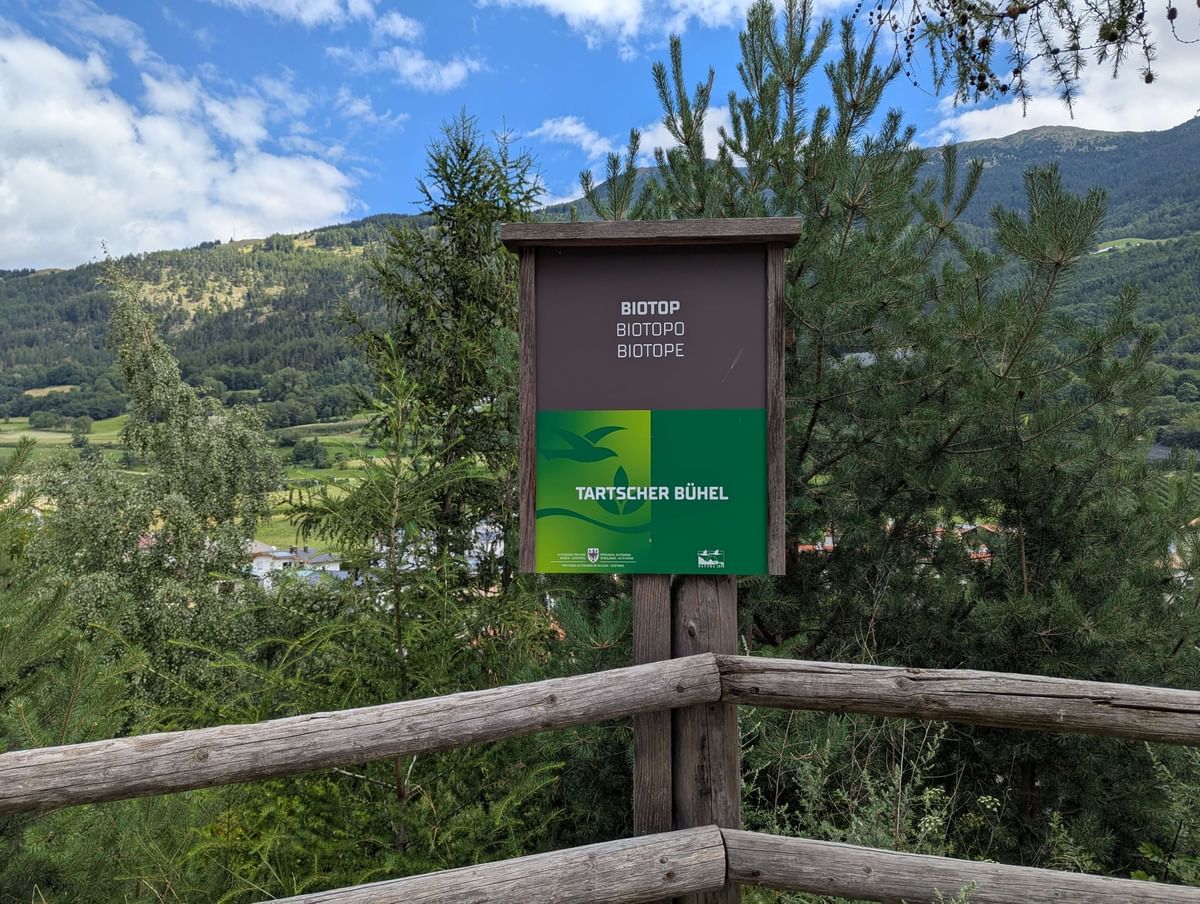 Bilder des Monats