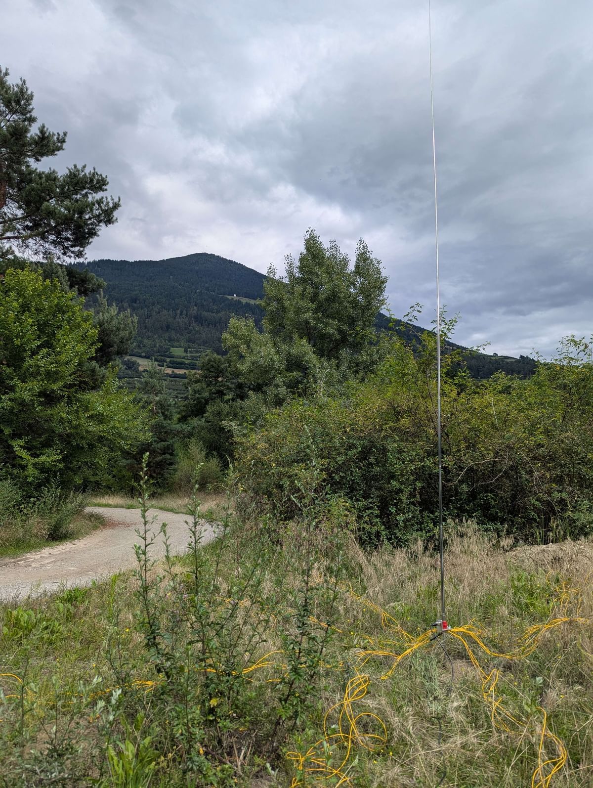 Bilder des Monats