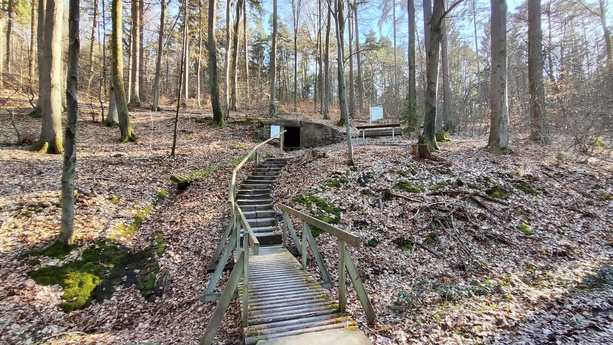 Bilder des Monats