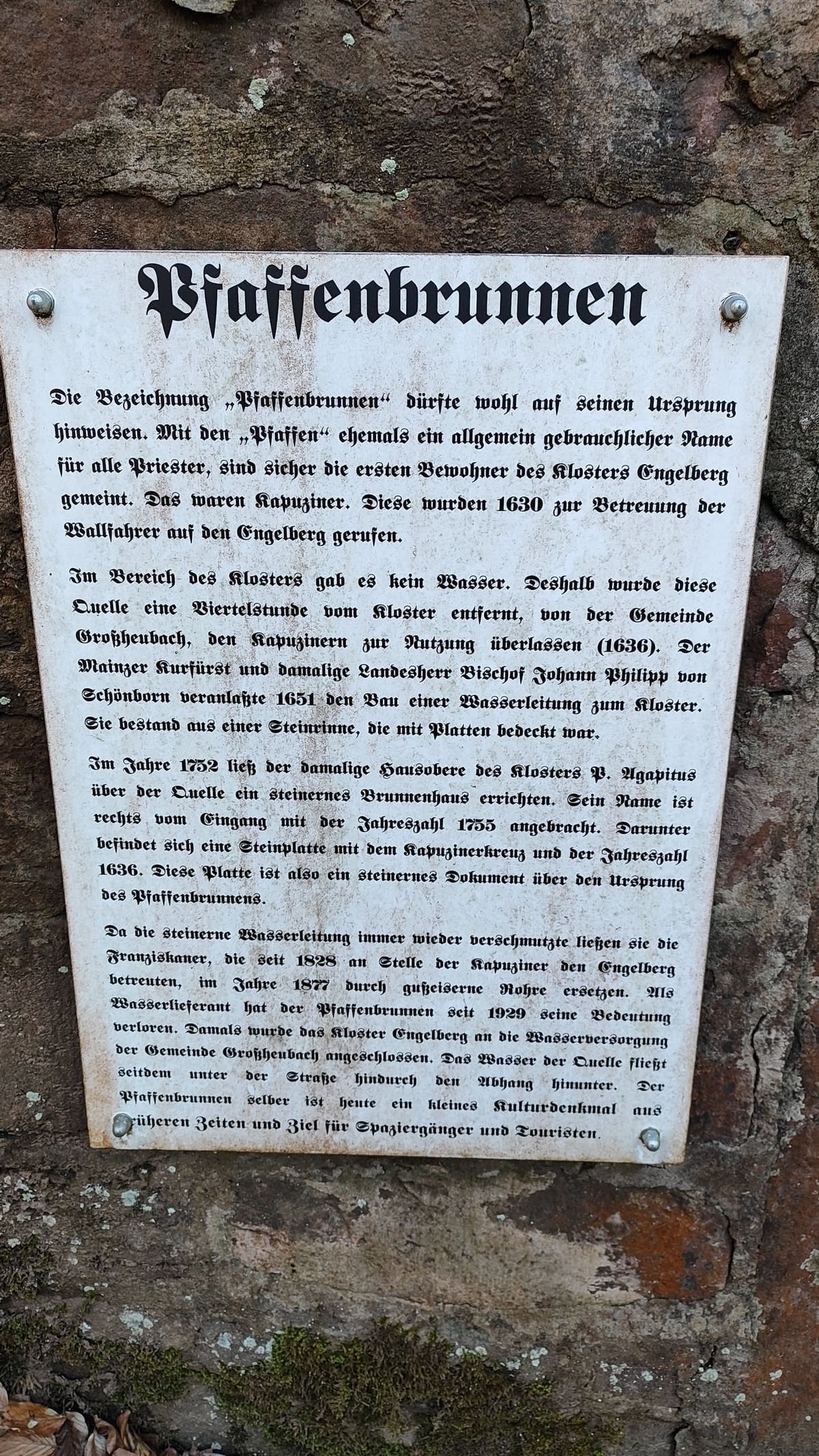 Bilder des Monats