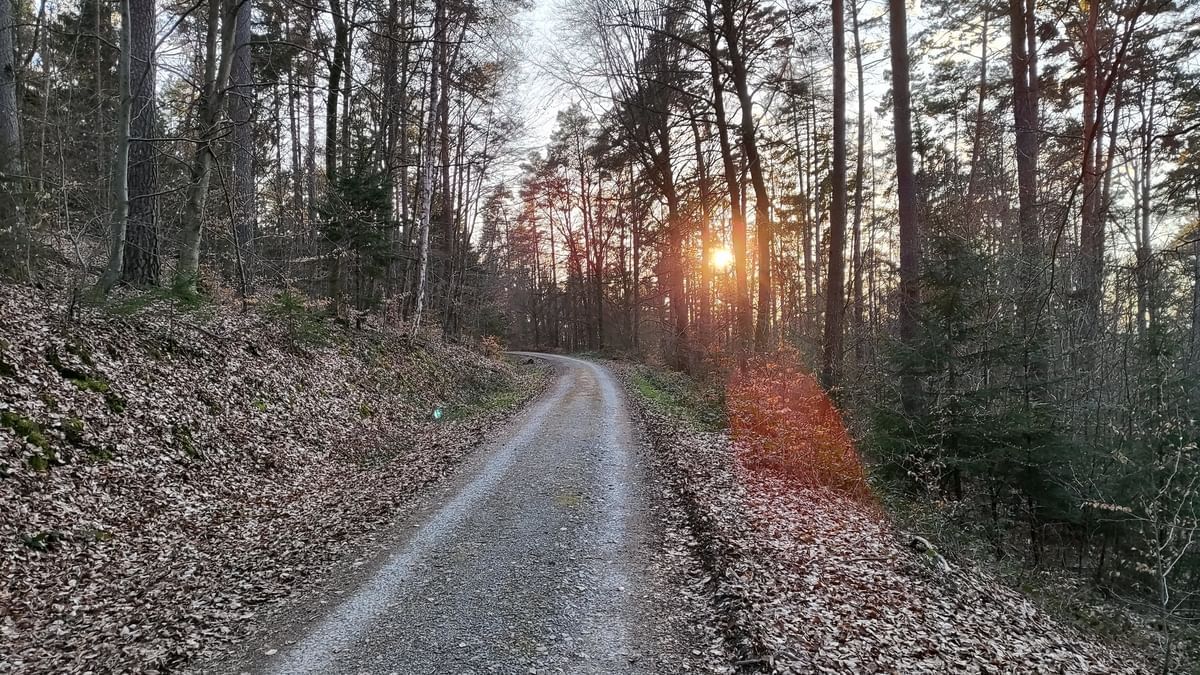 Bilder des Monats