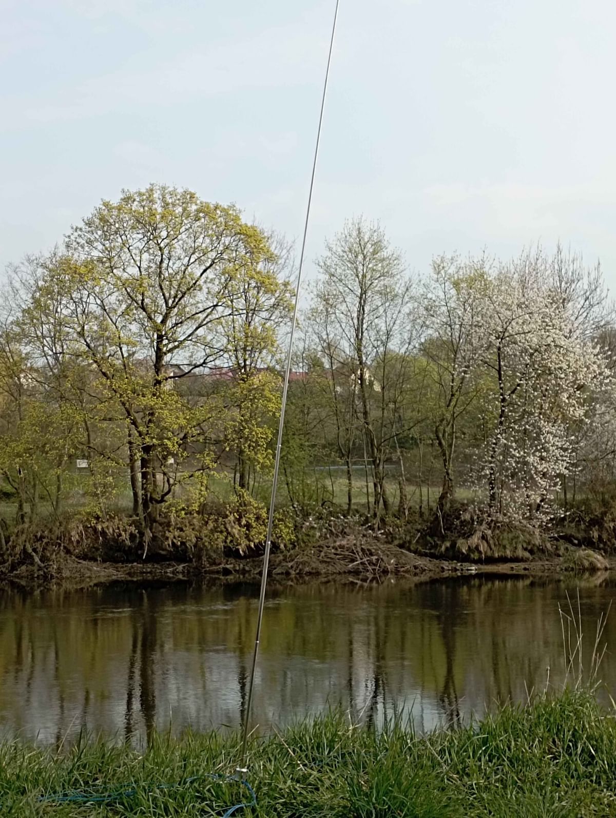 Bilder des Monats