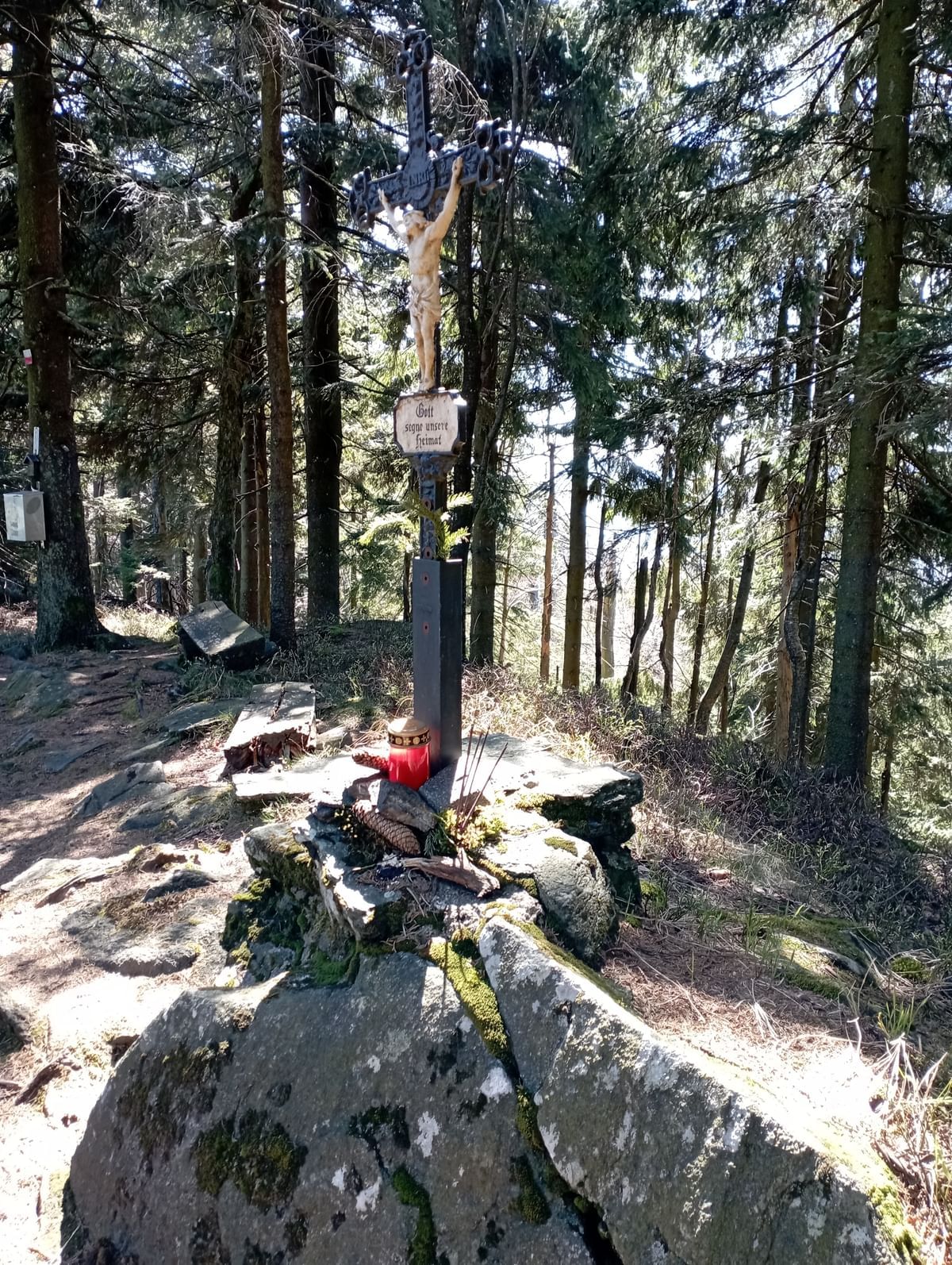 Bilder des Monats