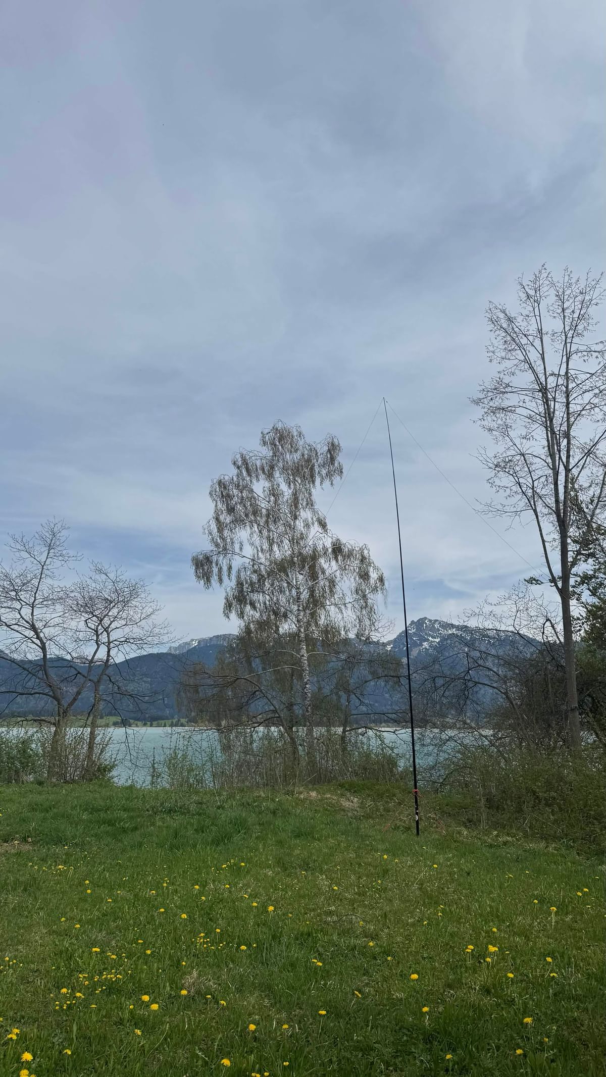 Bilder des Monats
