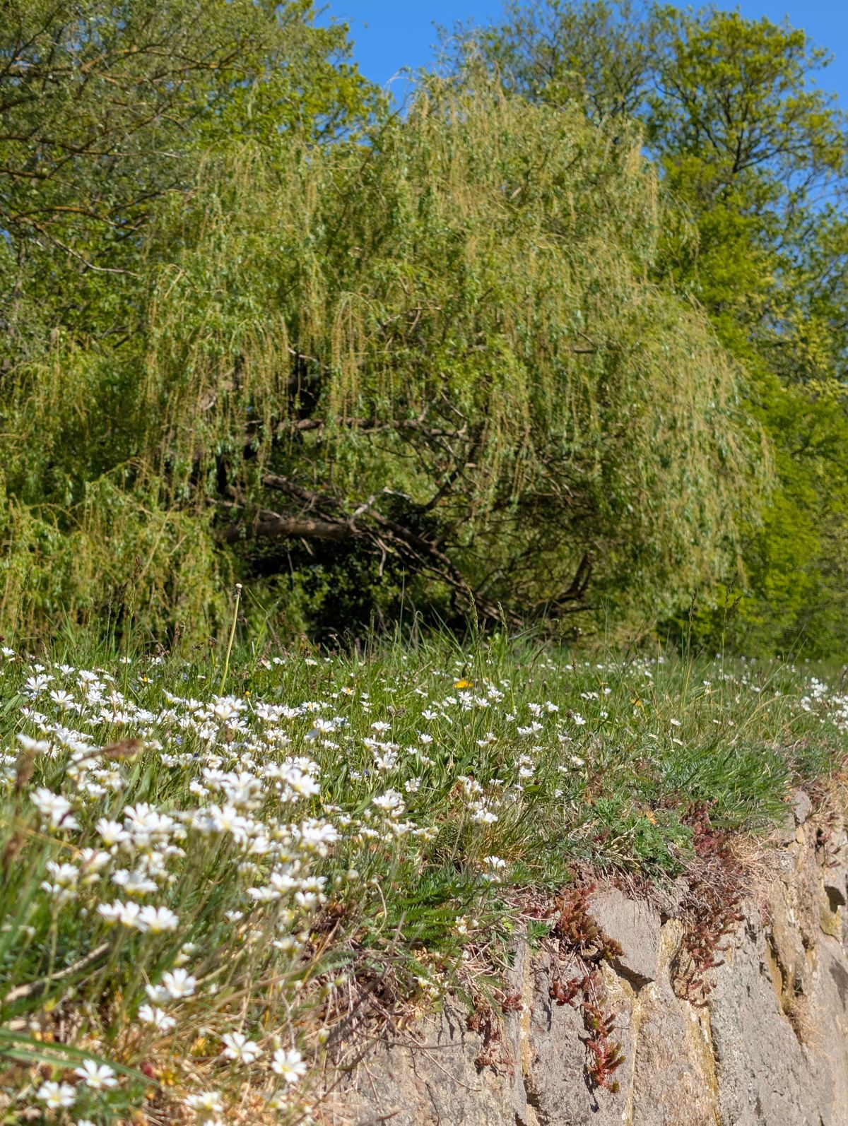 Bilder des Monats