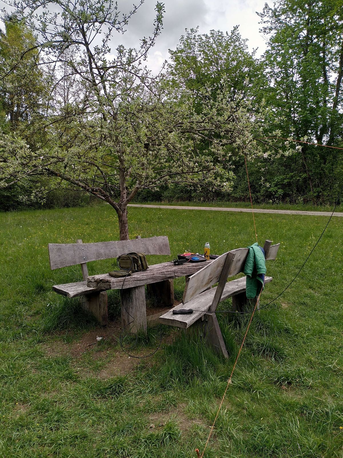 Bilder des Monats