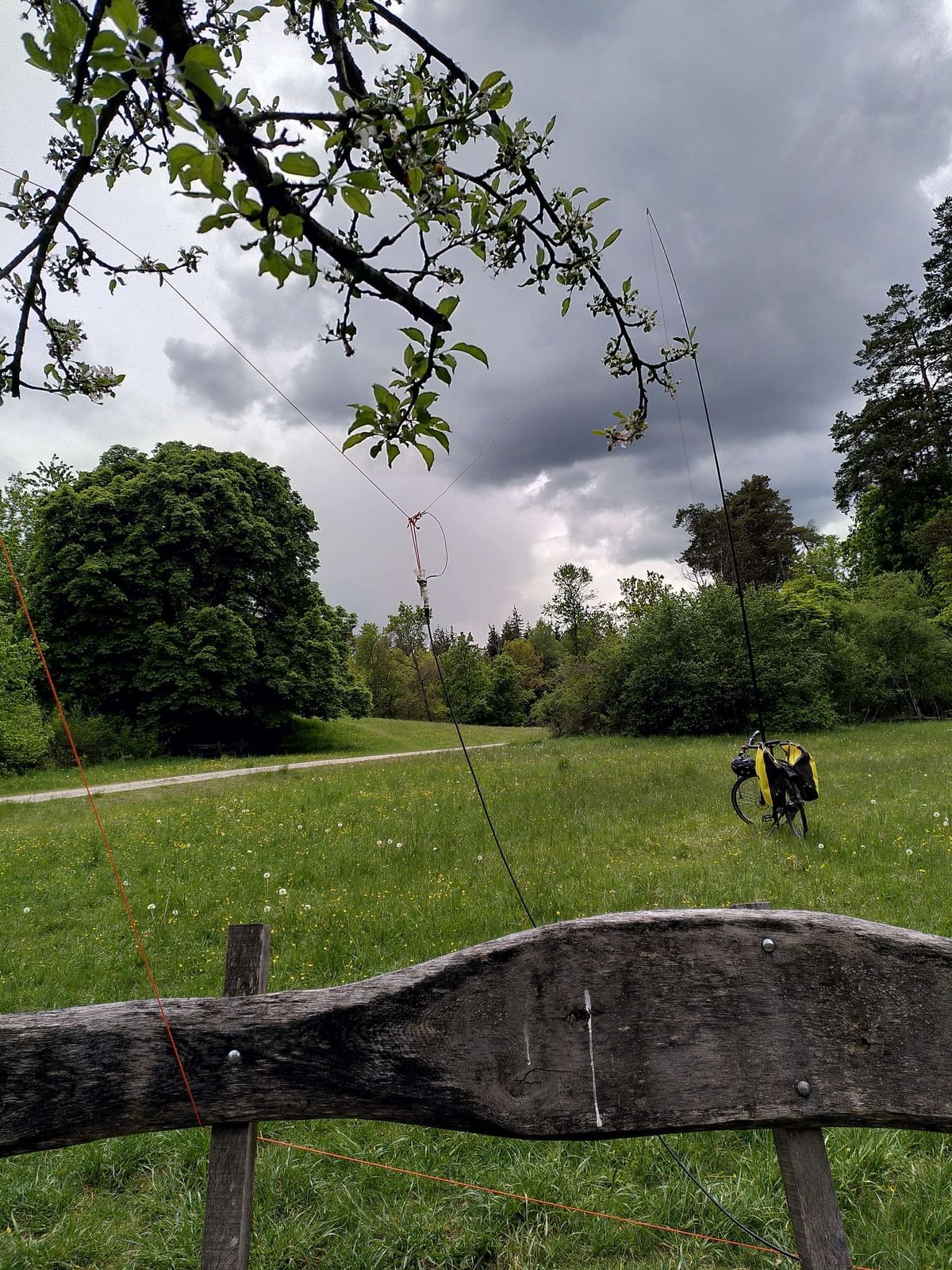 Bilder des Monats