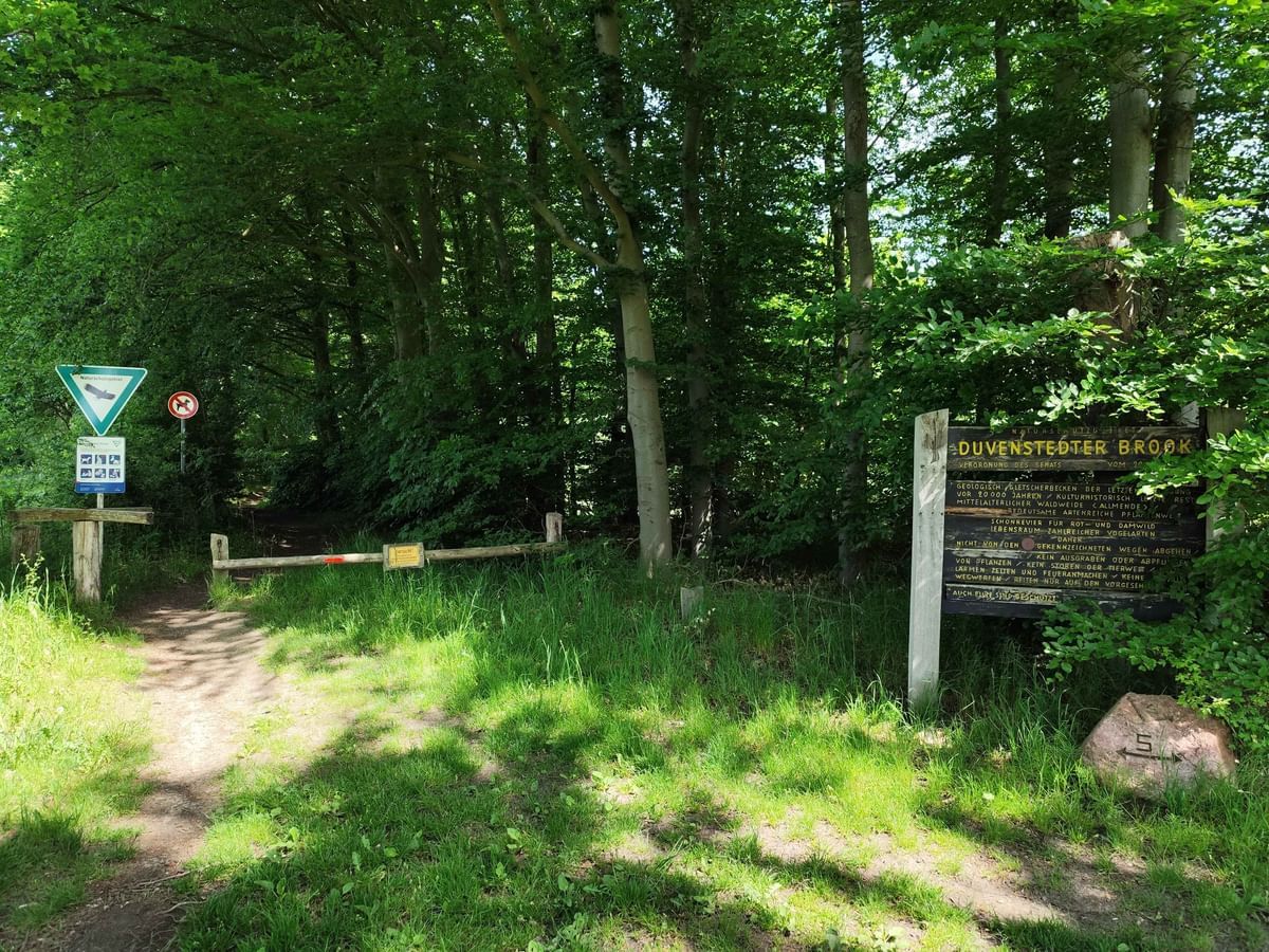 Bilder des Monats