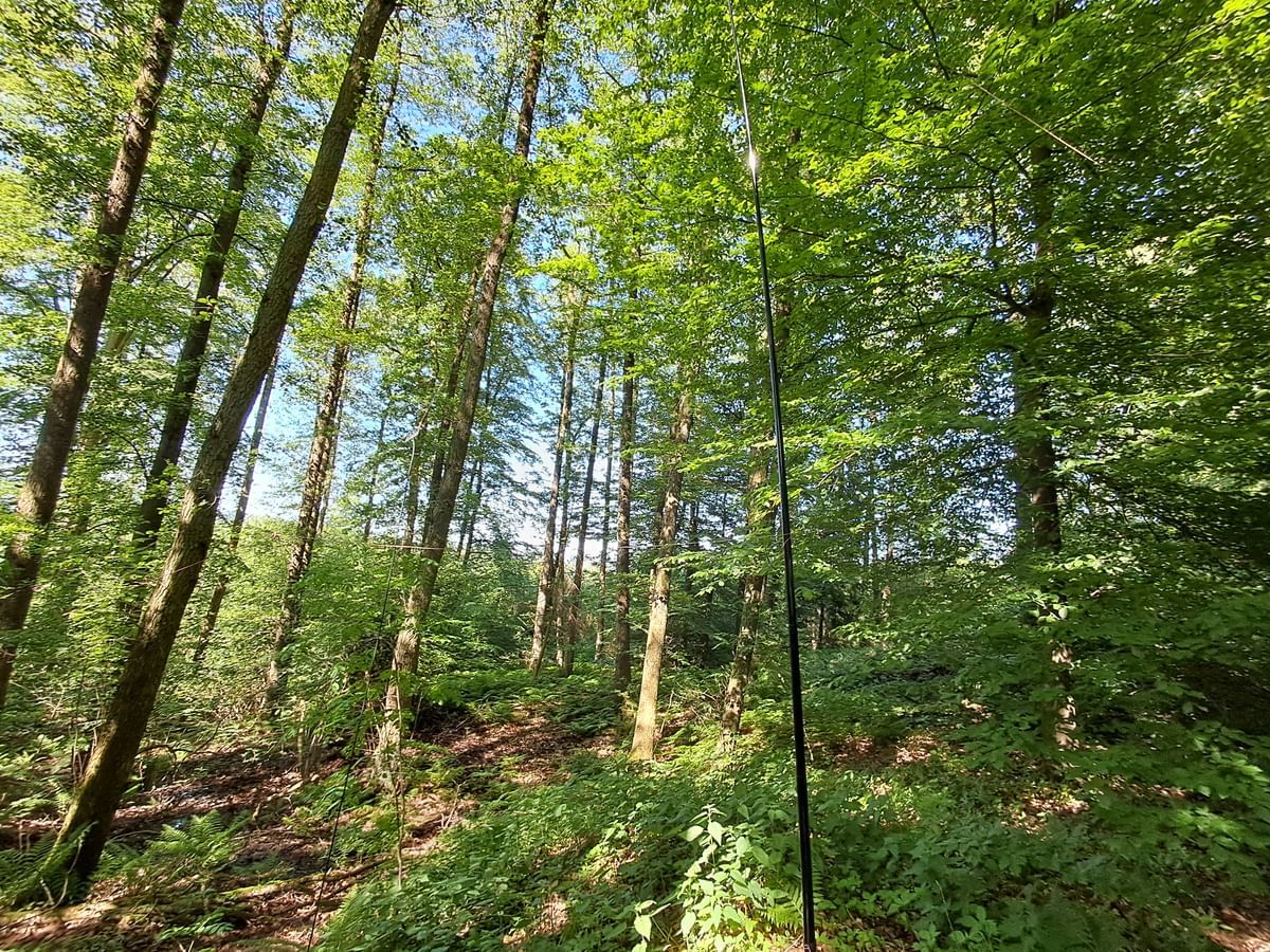 Bilder des Monats