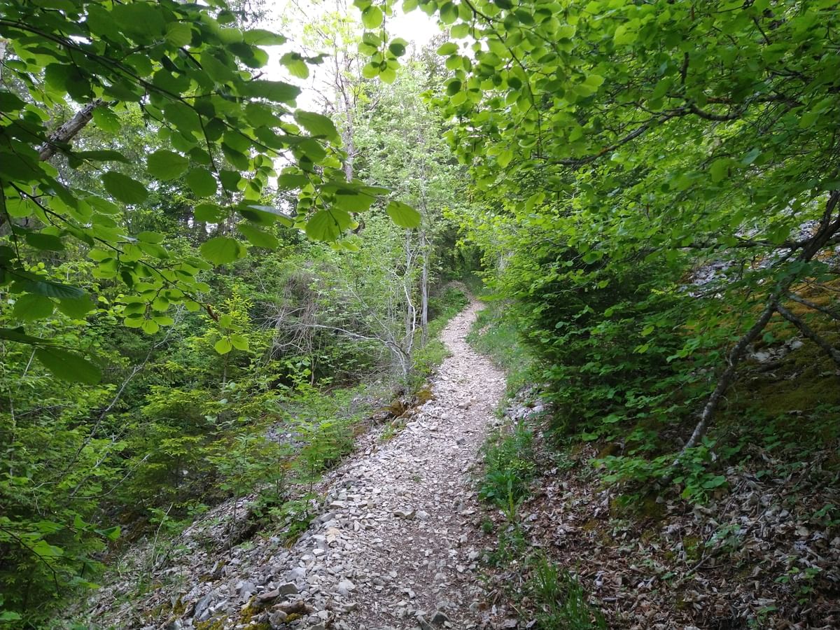 Bilder des Monats
