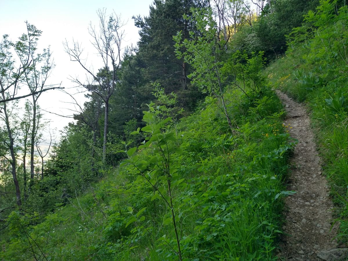 Bilder des Monats