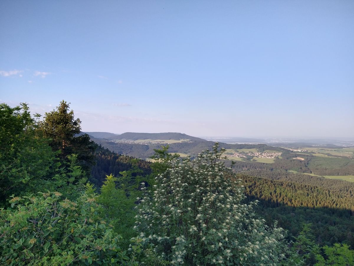 Bilder des Monats