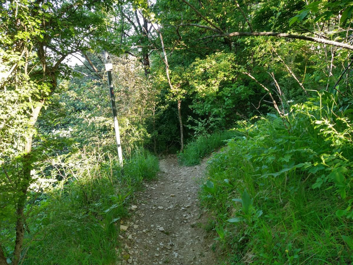 Bilder des Monats